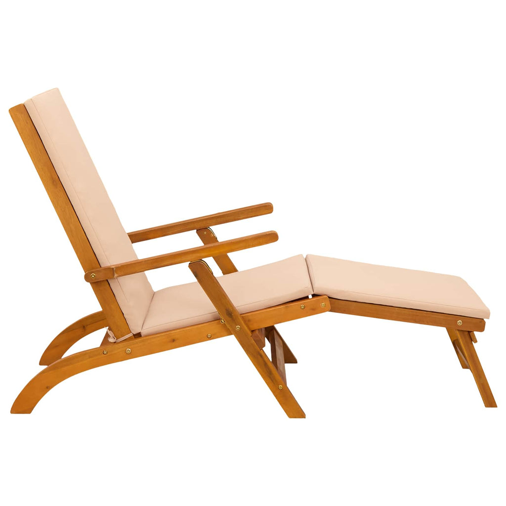 Liegestuhl zum Verstellen und Klappen 2 pcs 55 x 146 x 91 cm