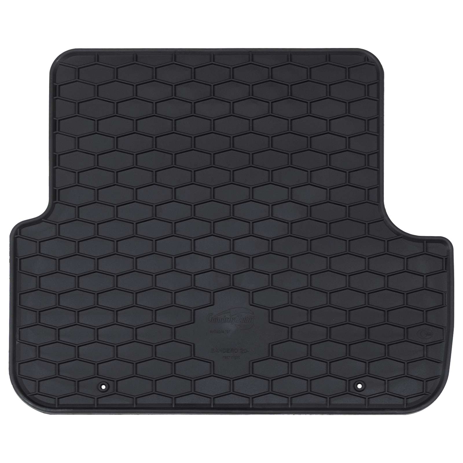 Autofußmatte 4 pcs Schwarz geeignet für SANDERO 2020- Gummi
