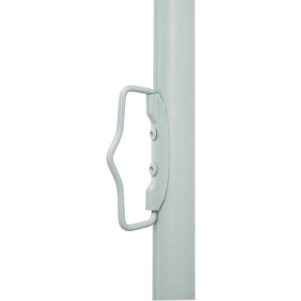 Ausziehbares Seitenmarkise Anthrazit 300 x 100 cm Polyester