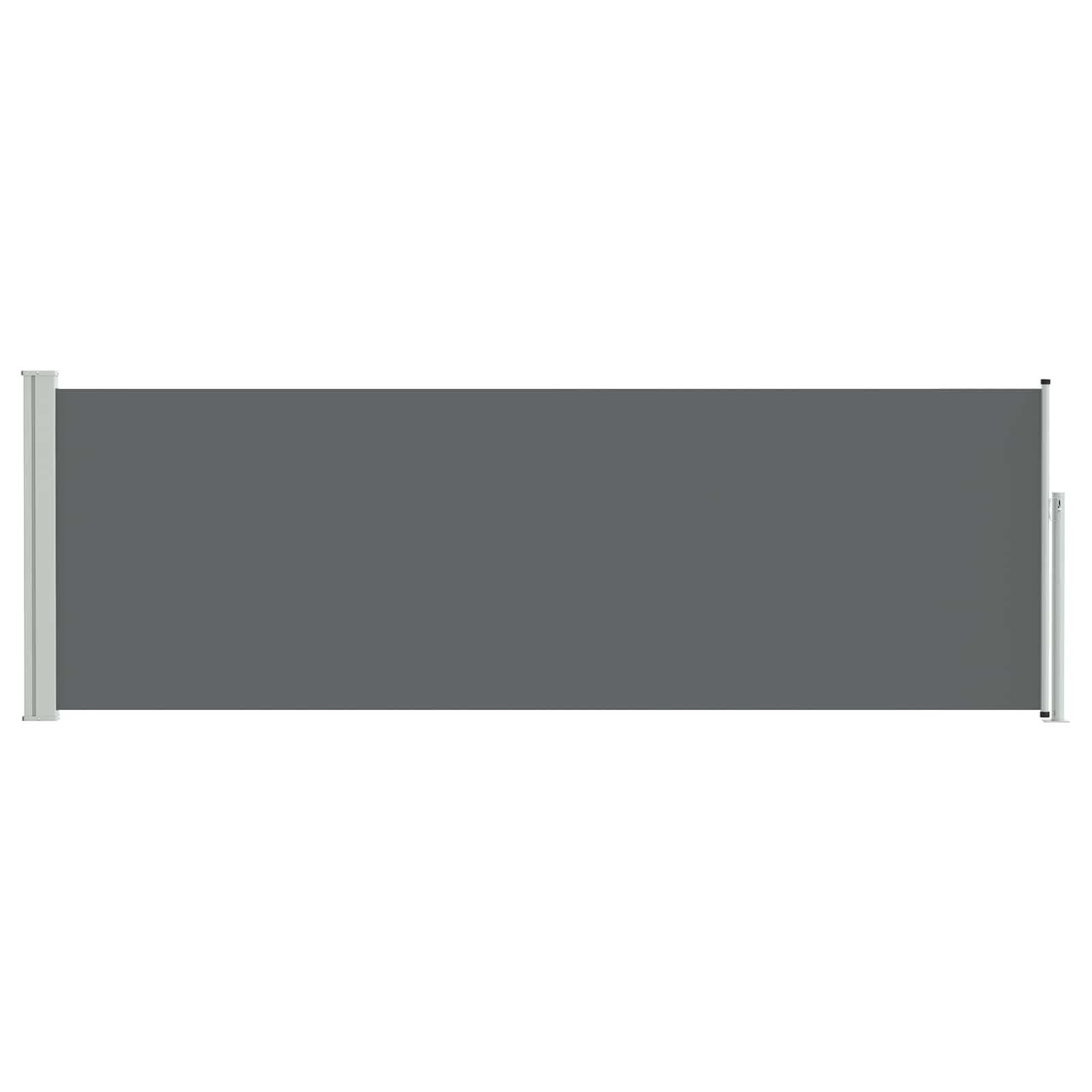 Ausziehbares Seitenmarkise Anthrazit 300 x 100 cm Polyester