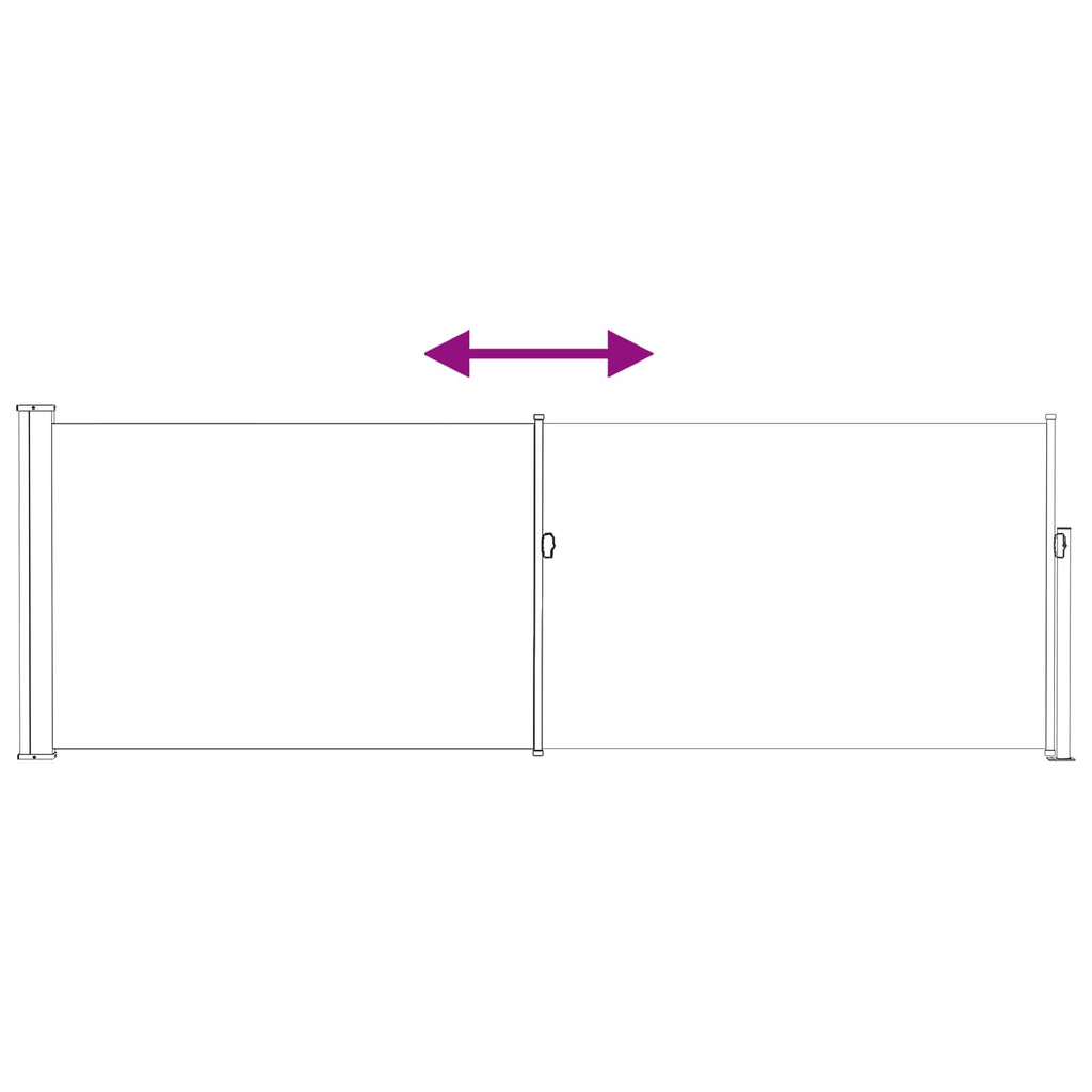 Ausziehbares Seitenmarkise Anthrazit 300 x 100 cm Polyester