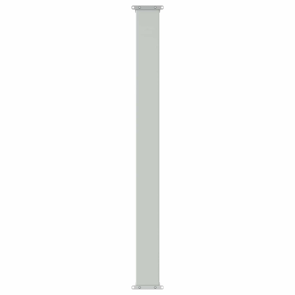Ausziehbares Seitenmarkise Anthrazit 300 x 100 cm Polyester