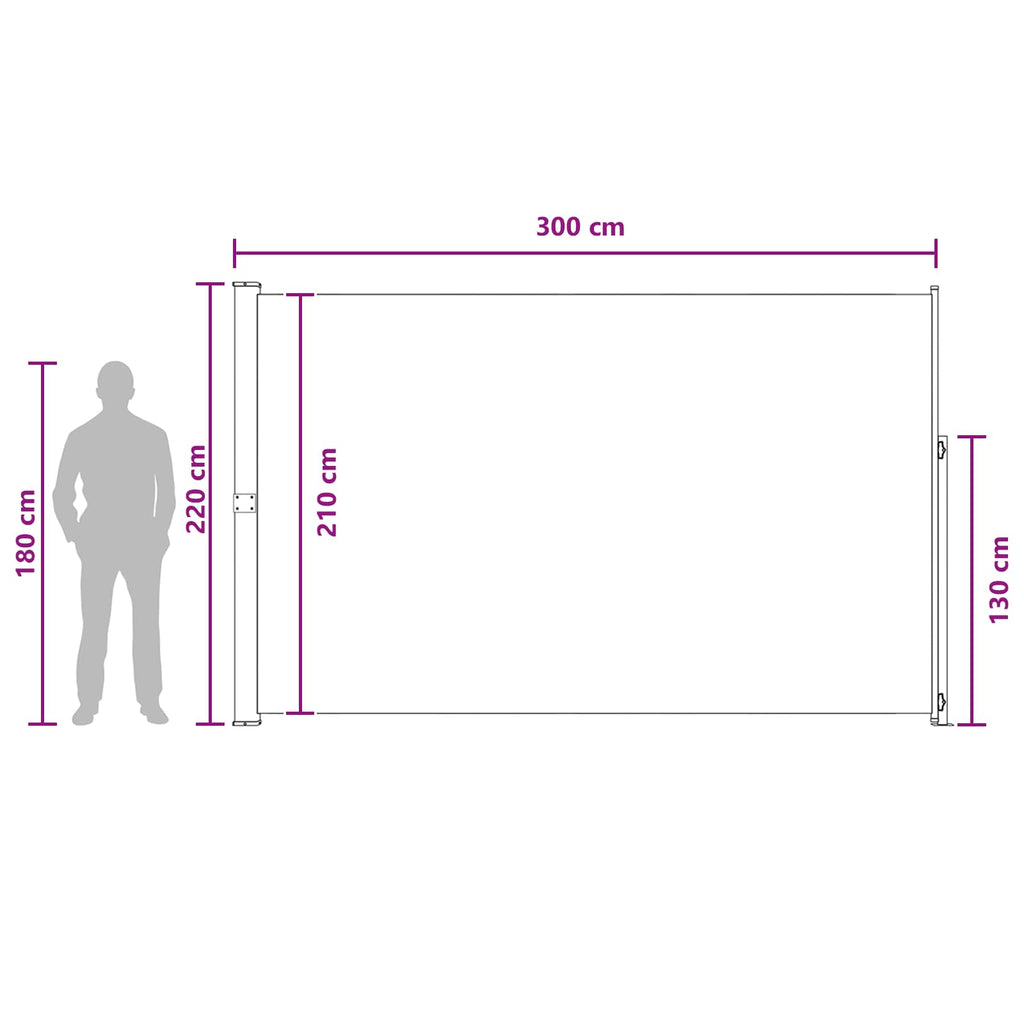 Ausziehbares Seitenmarkise Anthrazit 300 x 220 cm Polyester