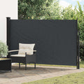 Ausziehbares Seitenmarkise Schwarz 300 x 170 cm Polyester