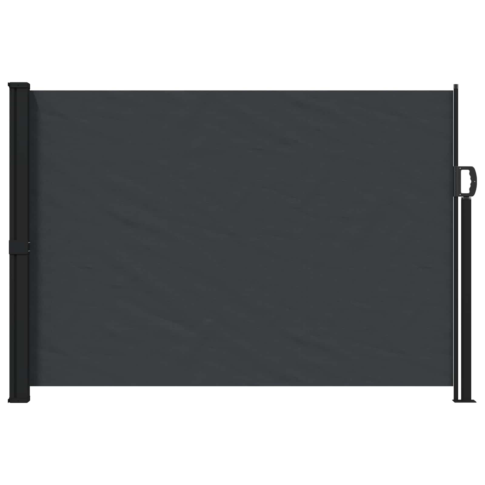 Ausziehbares Seitenmarkise Schwarz 300 x 170 cm Polyester