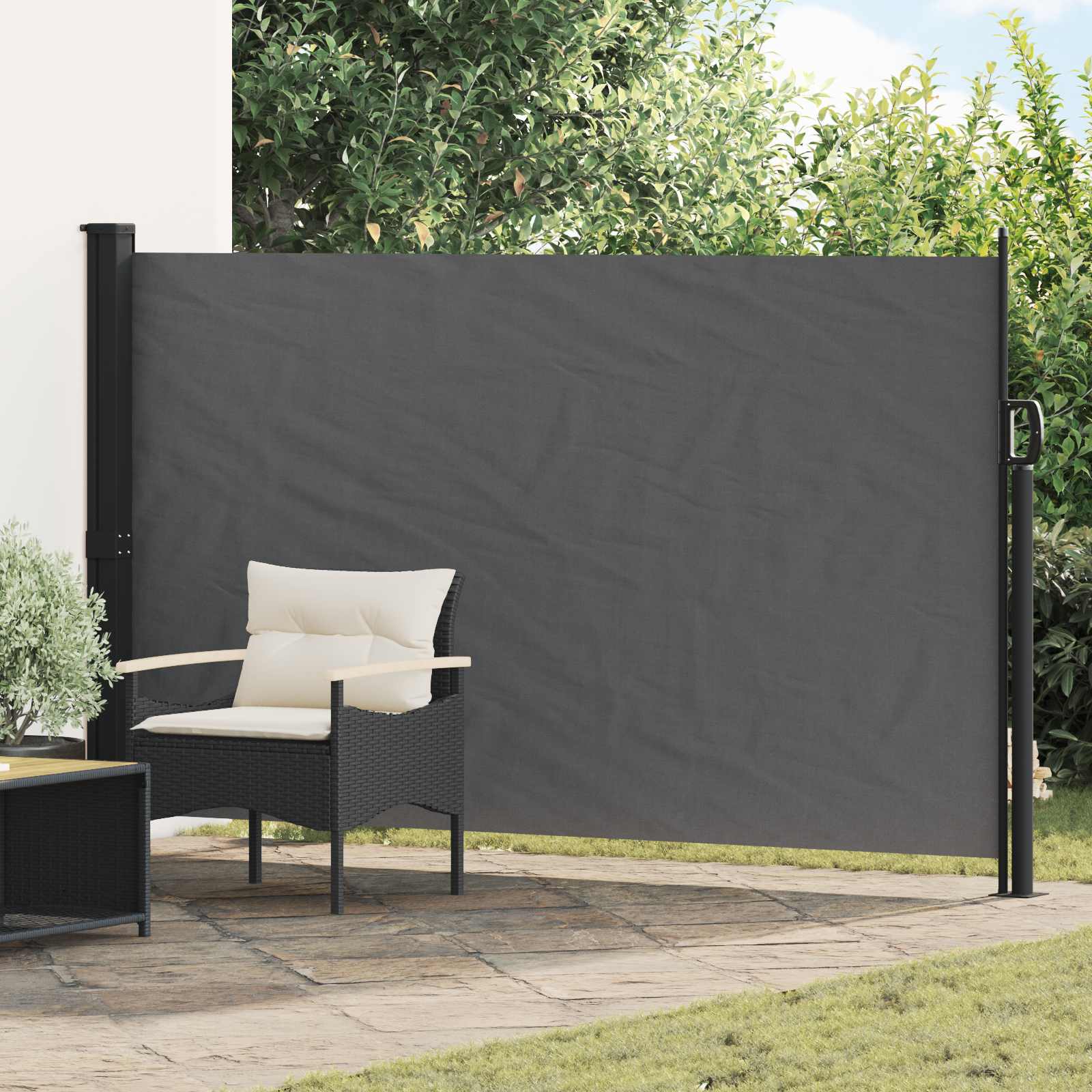 Ausziehbares Seitenmarkise Anthrazit 300 x 170 cm Polyester