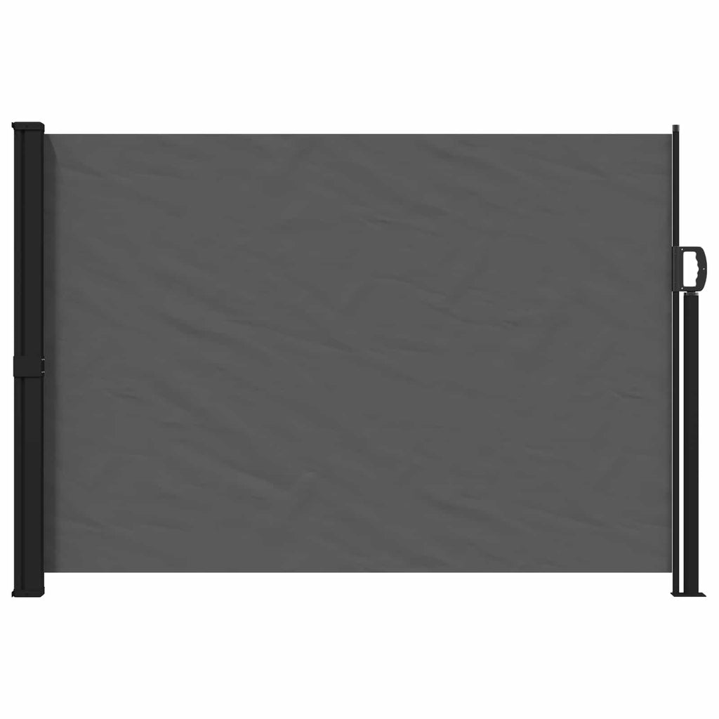 Ausziehbares Seitenmarkise Anthrazit 300 x 170 cm Polyester