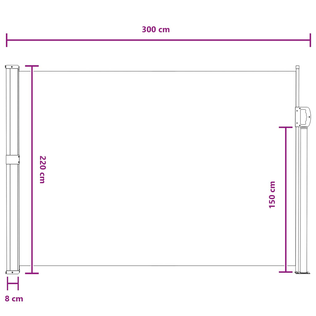 Ausziehbares Seitenmarkise Grau 300 x 220 cm Polyester