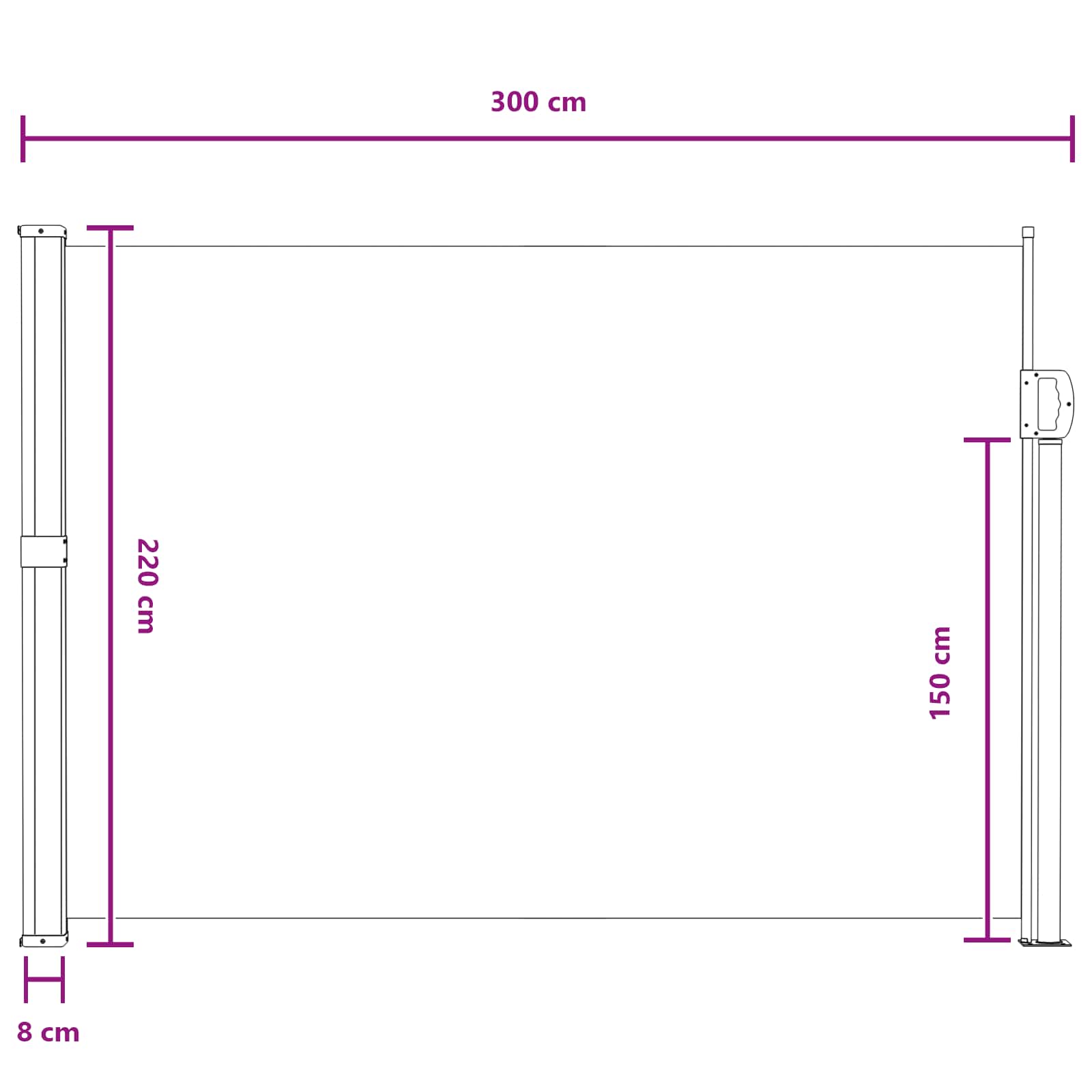 Ausziehbares Seitenmarkise Sand 300 x 220 cm Polyester