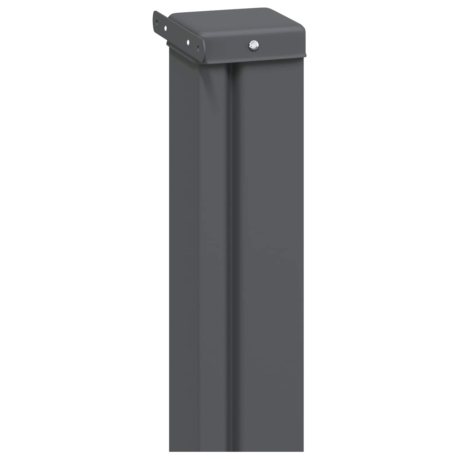 Ausziehbares Seitenmarkise Anthrazit 300 x 100 cm Polyester