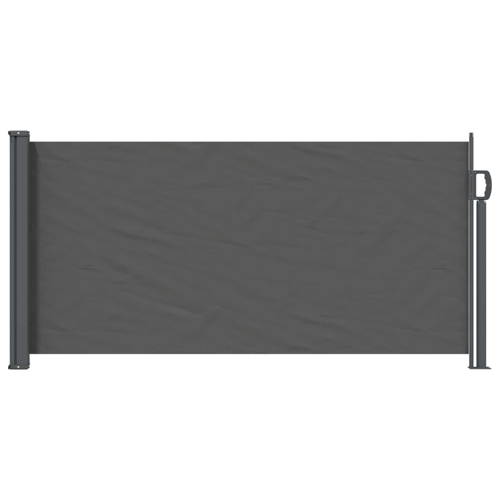 Ausziehbares Seitenmarkise Anthrazit 300 x 100 cm Polyester