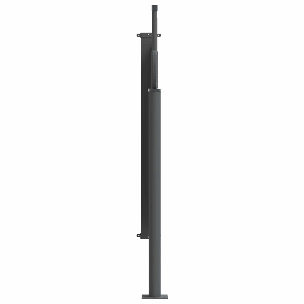 Ausziehbares Seitenmarkise 300 x 100 cm Polyester Rechtwinklig