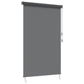 Rollo Hellgrau 100 x 250 cm Stoff und Aluminium