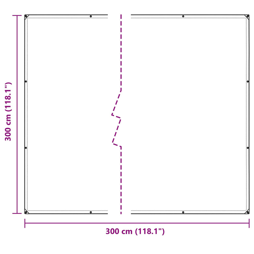 Pflanzenabdeckung Transparent 3 x 3 m PE