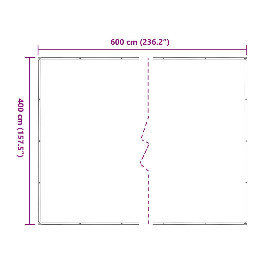 Pflanzenabdeckung Transparent 4 x 6 m PE