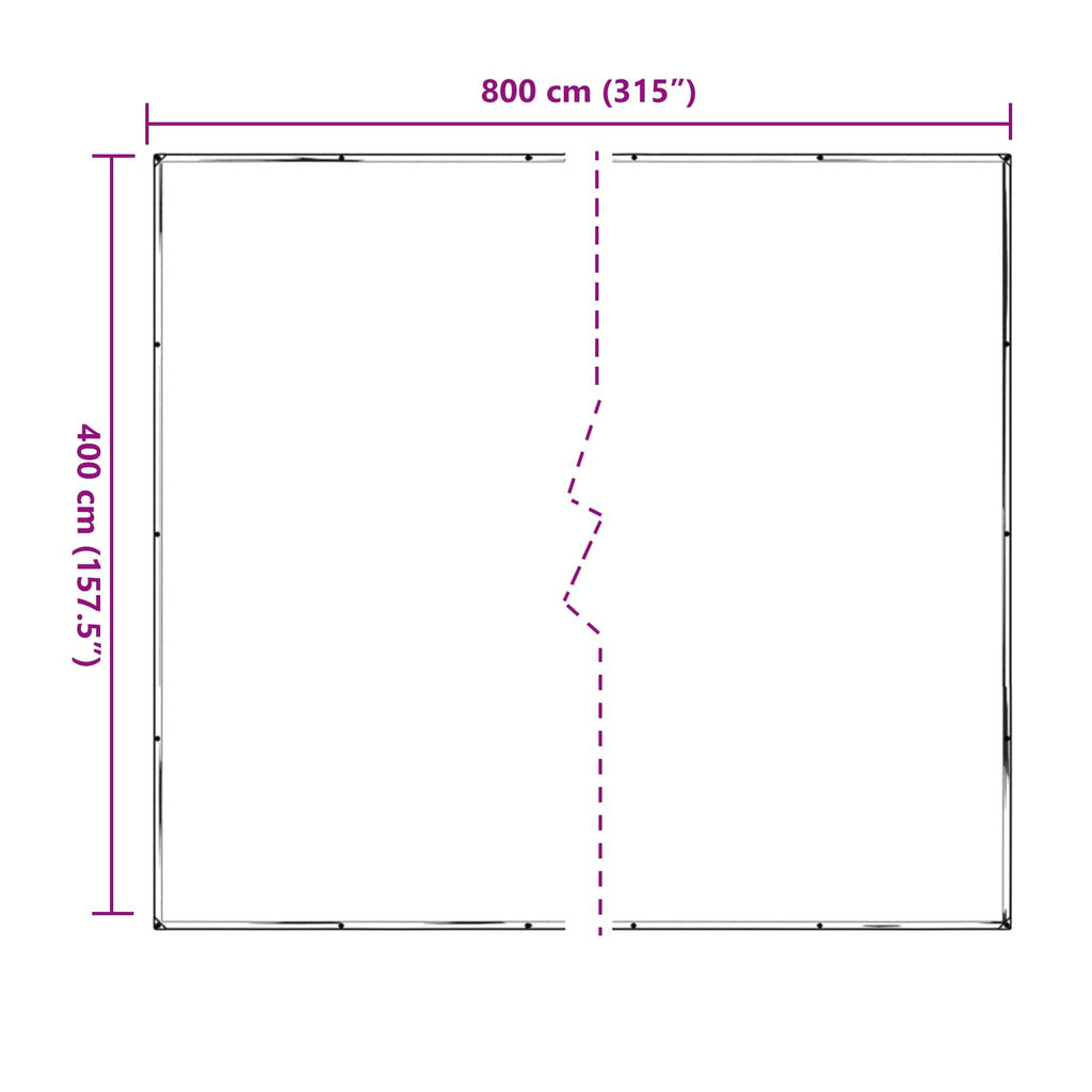 Pflanzenabdeckung Transparent 4 x 8 m PE