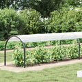 Pflanzenabdeckung Transparent 20 x 1,5 m PE