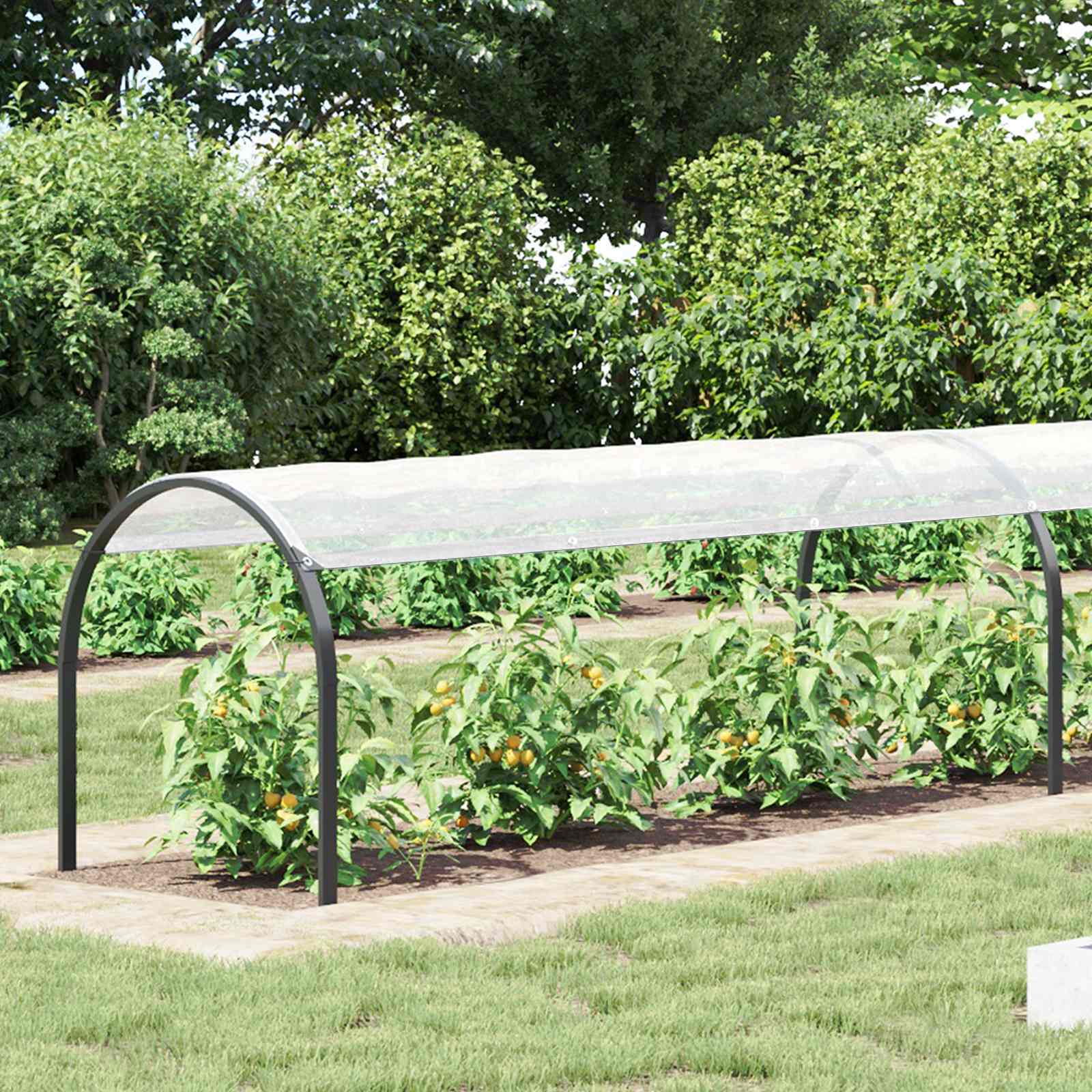 Pflanzenabdeckung Transparent 20 x 1,5 m PE