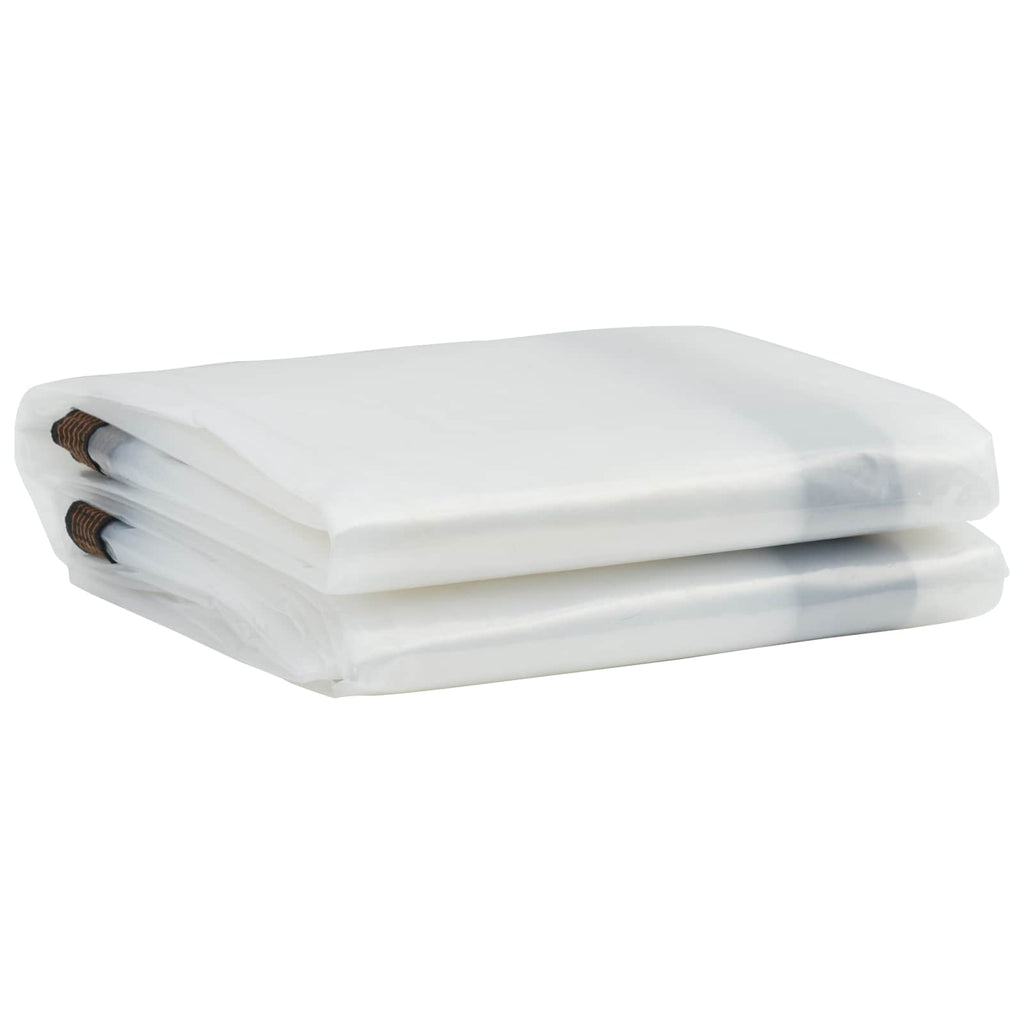 Pflanzenabdeckung Transparent 4 x 6 m PE