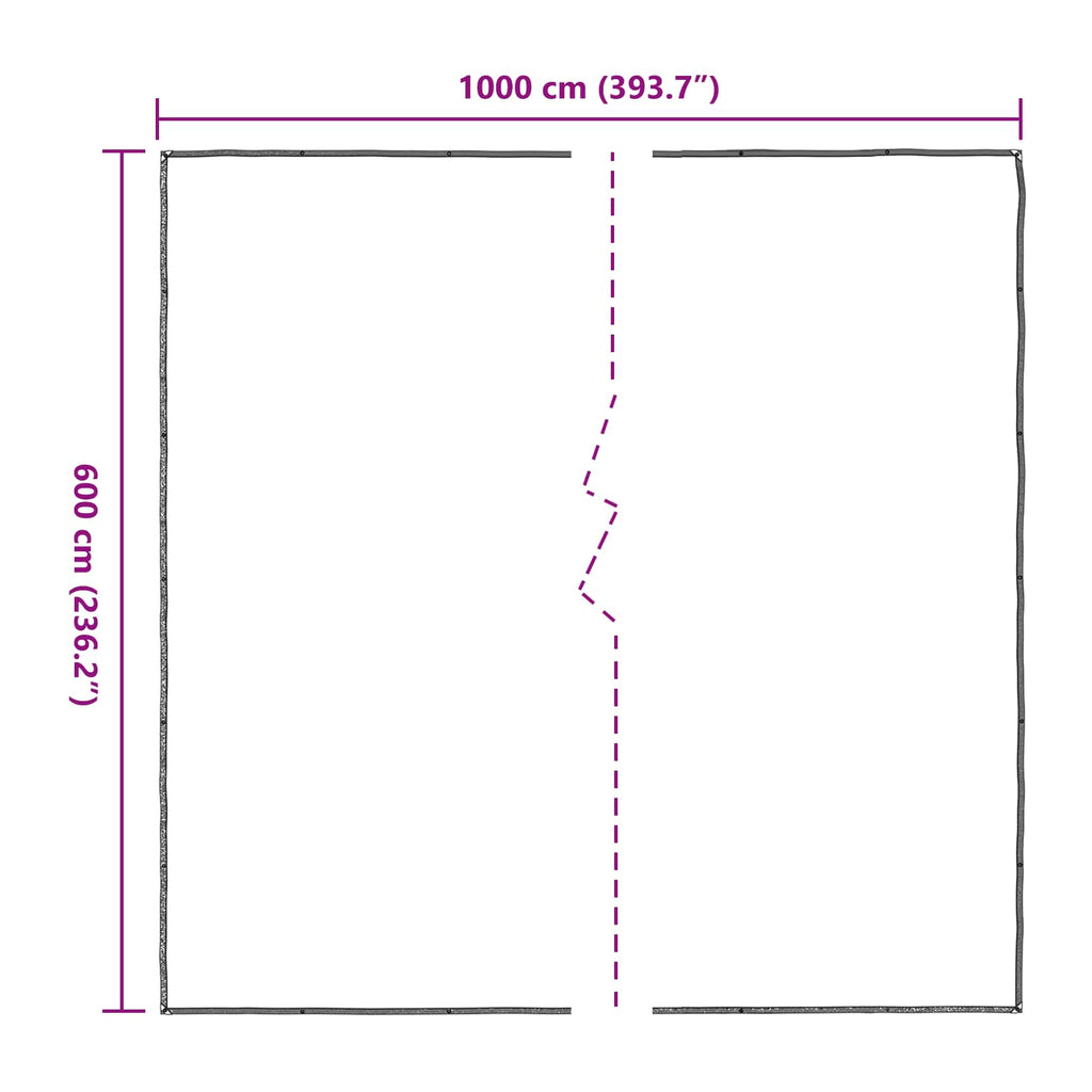 Pflanzenabdeckung Transparent 6 x 10 m PE