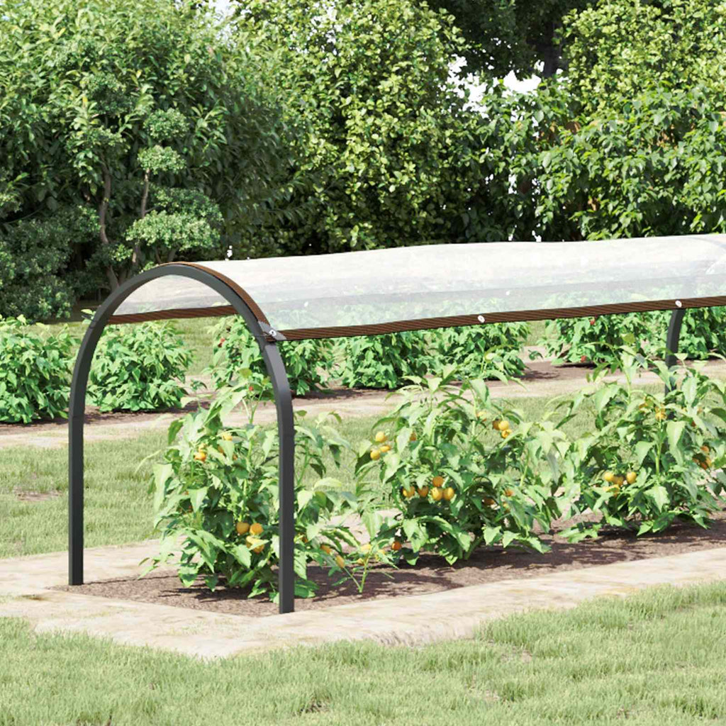 Pflanzenabdeckung Transparent 20 x 1,5 m PE