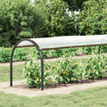 Pflanzenabdeckung Transparent 20 x 1,5 m PE