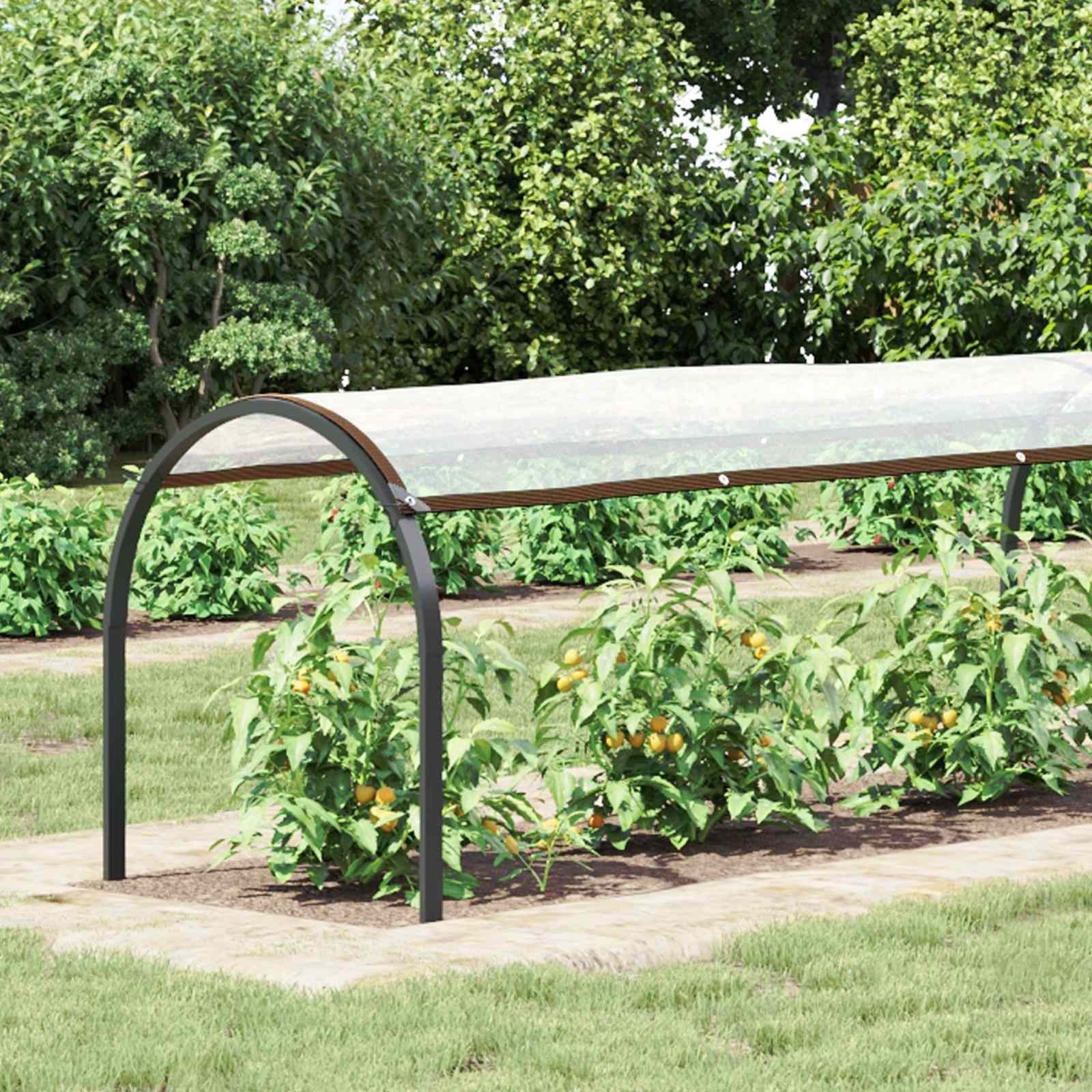 Pflanzenabdeckung Transparent 20 x 1,5 m PE