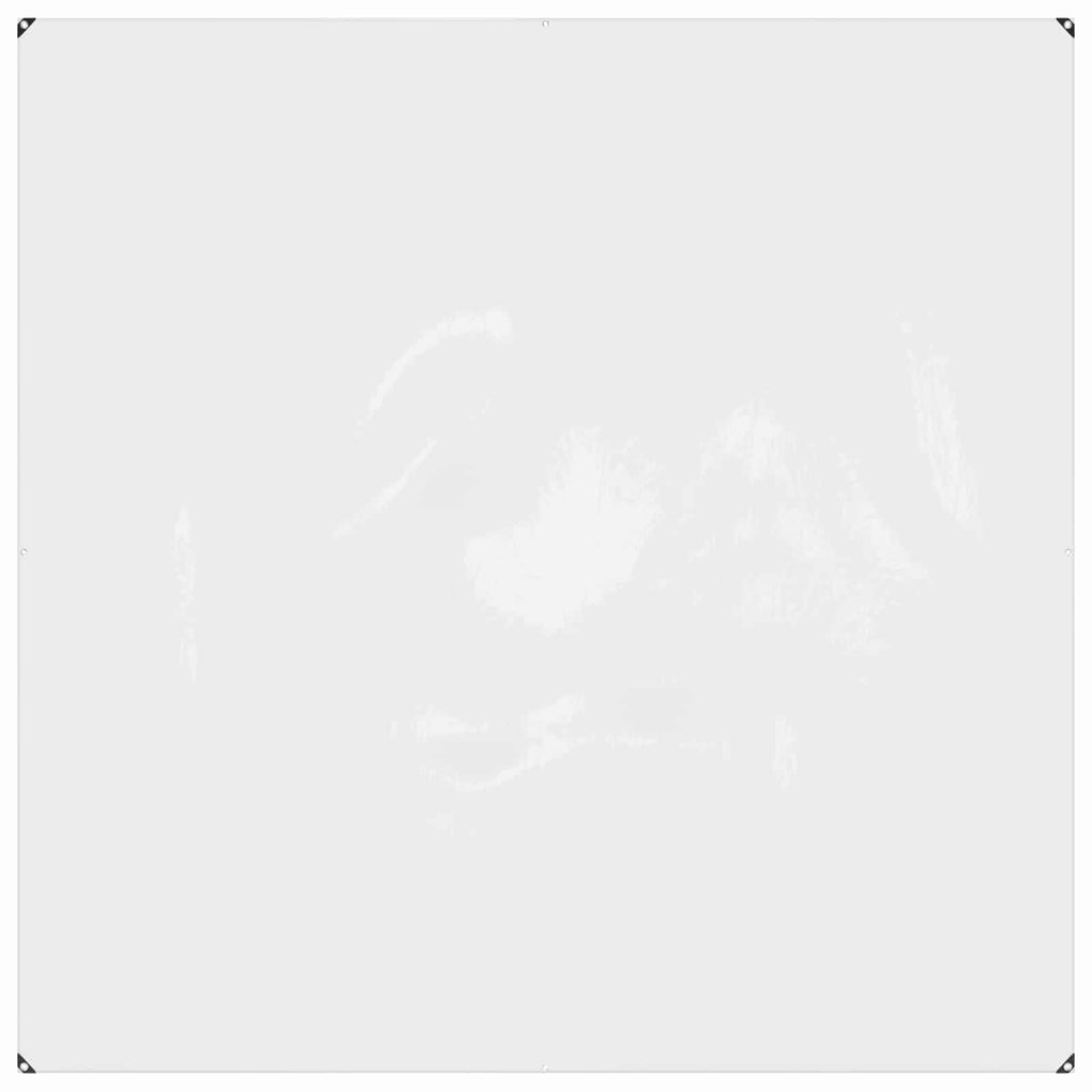 Pflanzenabdeckung Transparent 2 x 2 m PVC