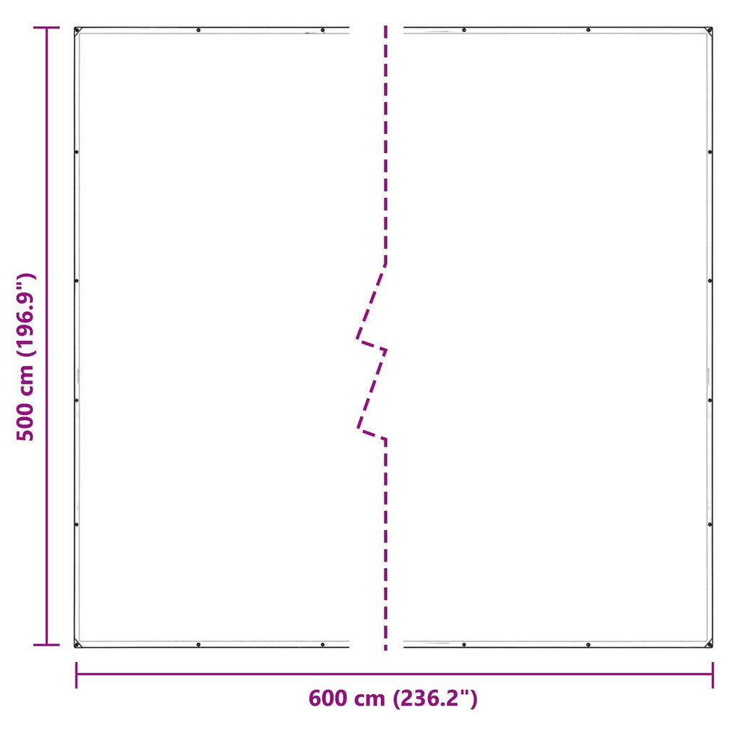 Pflanzenabdeckung Transparent 5 x 6 m PVC