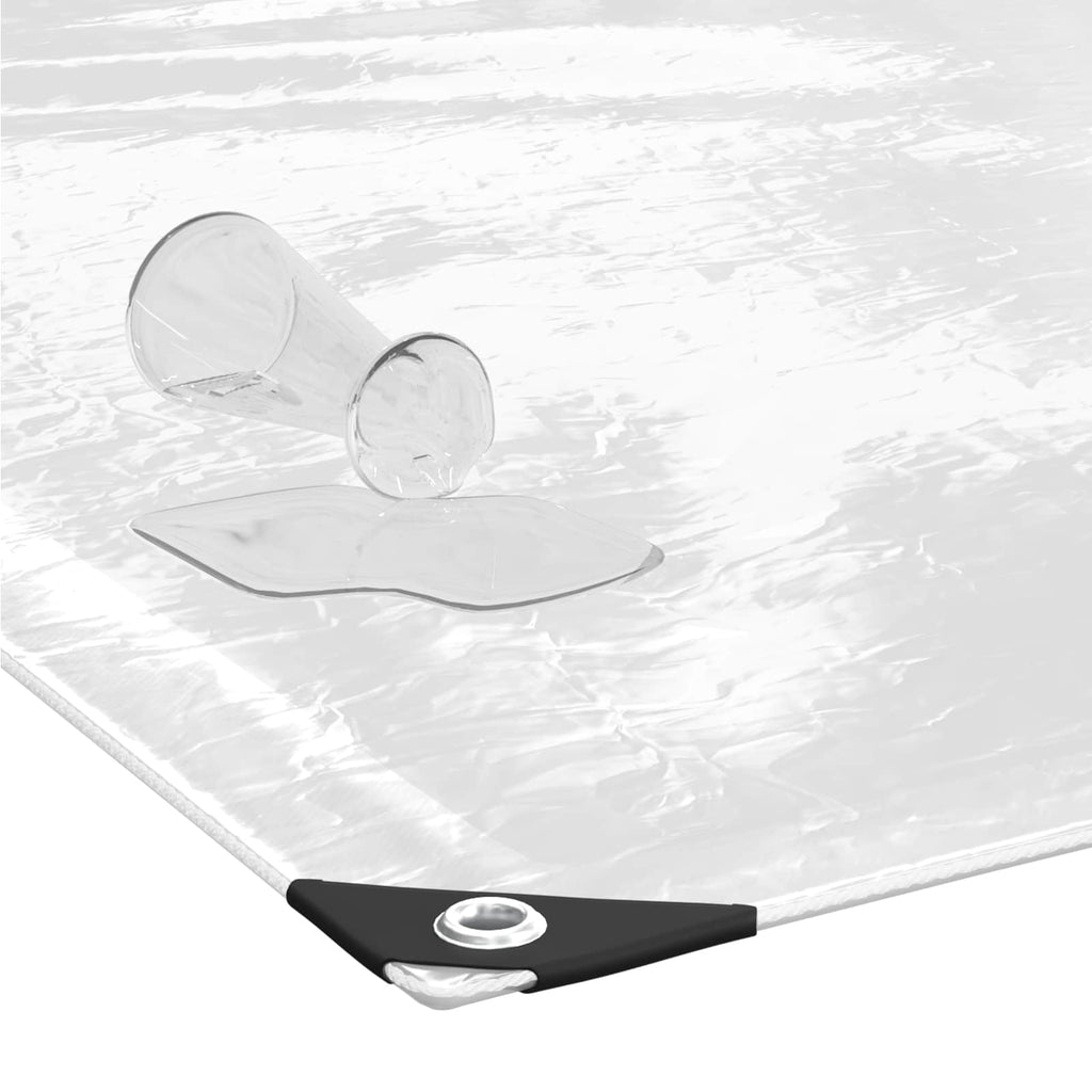 Pflanzenabdeckung Transparent 6 x 8 m PVC