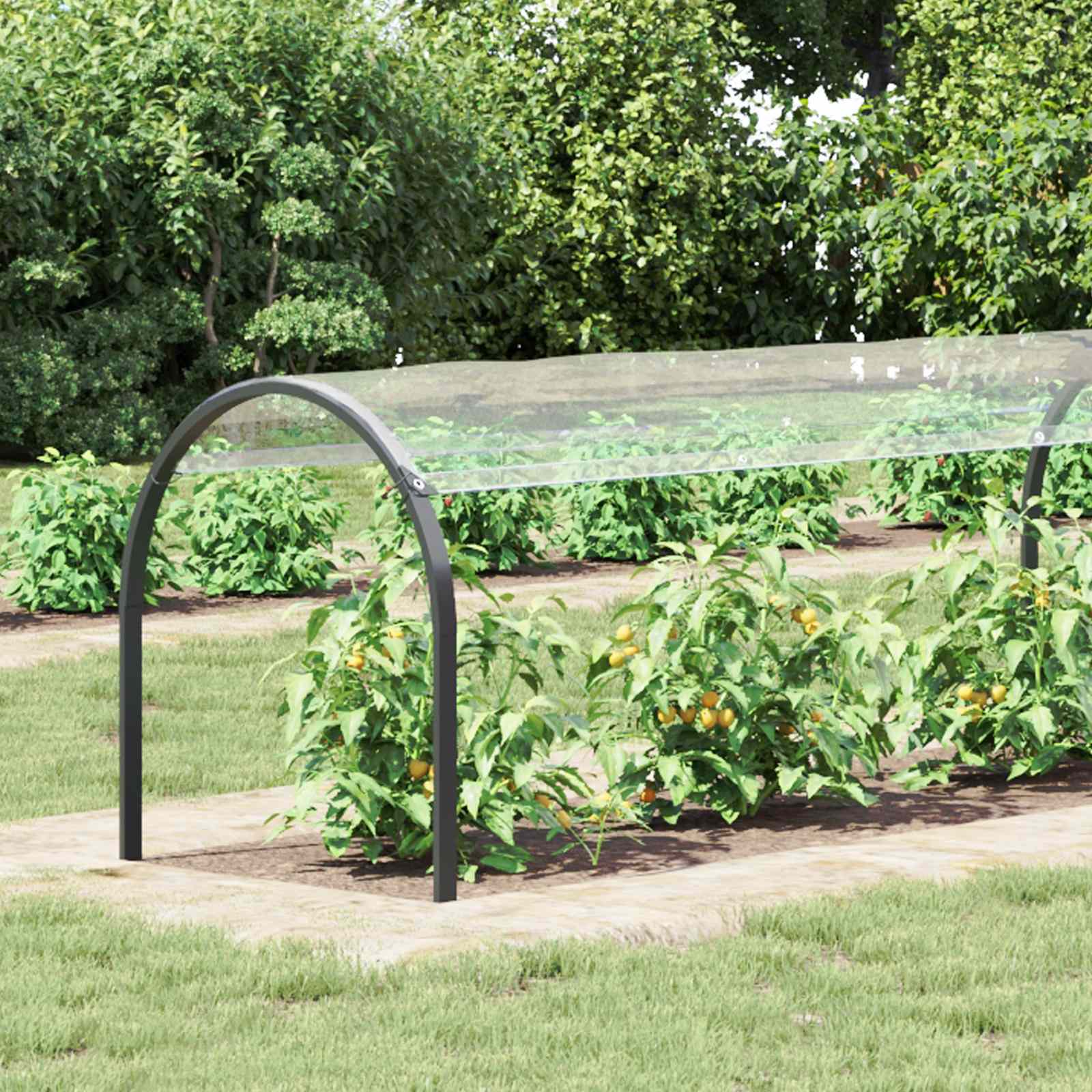 Pflanzenabdeckung Transparent 6 x 1,5 m PVC