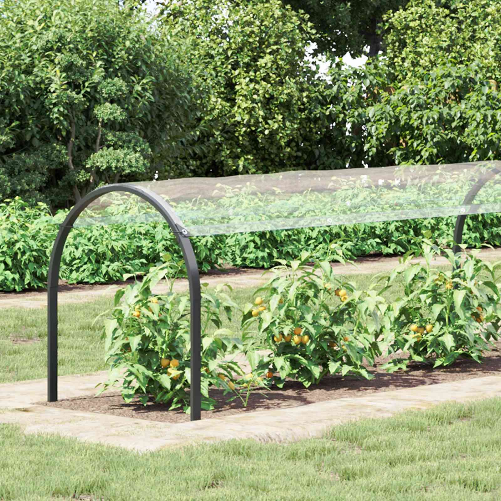 Pflanzenabdeckung Transparent 20 x 1,5 m PVC