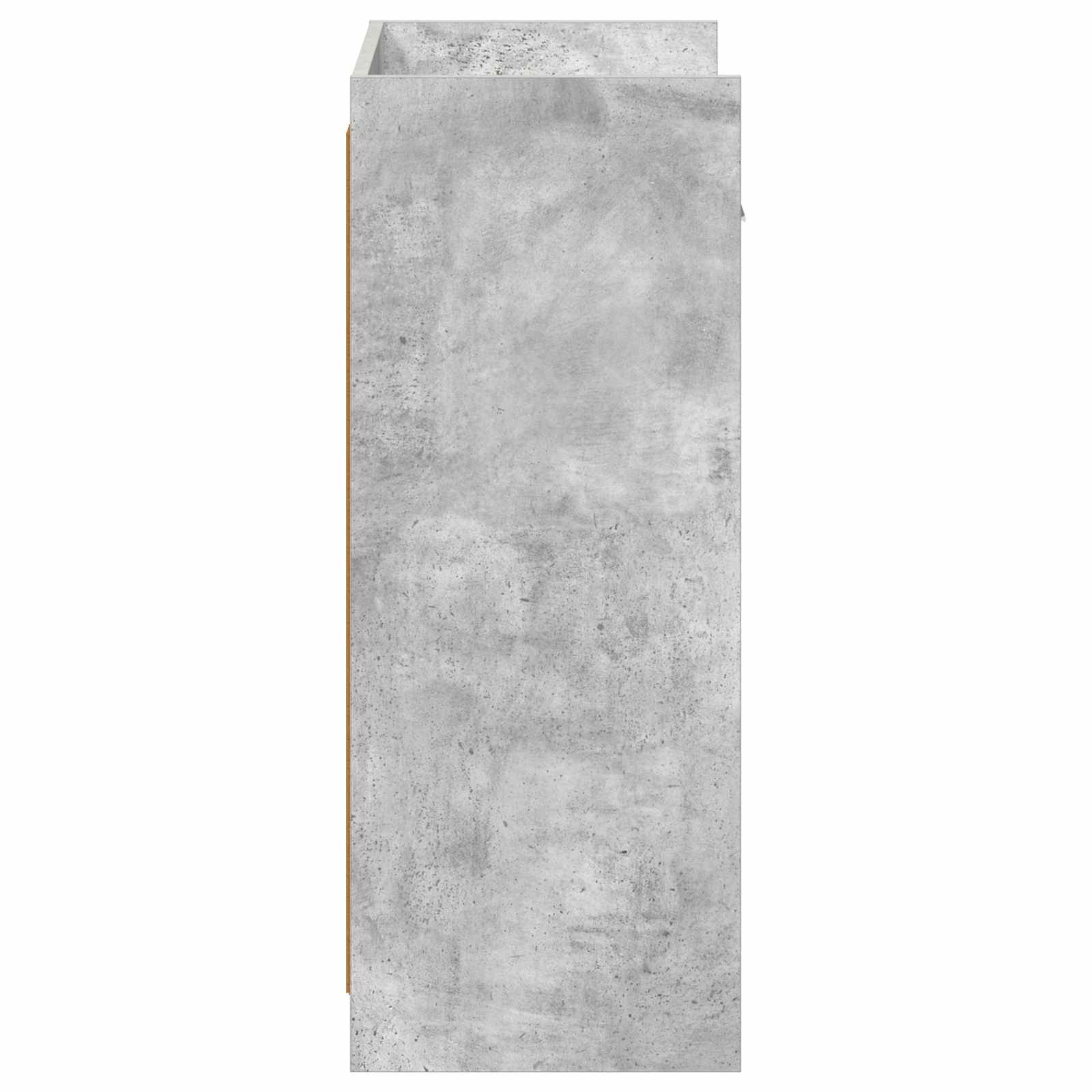 Schuhschrank Betongrau 48 x 36 x 92 cm Holzwerkstoff