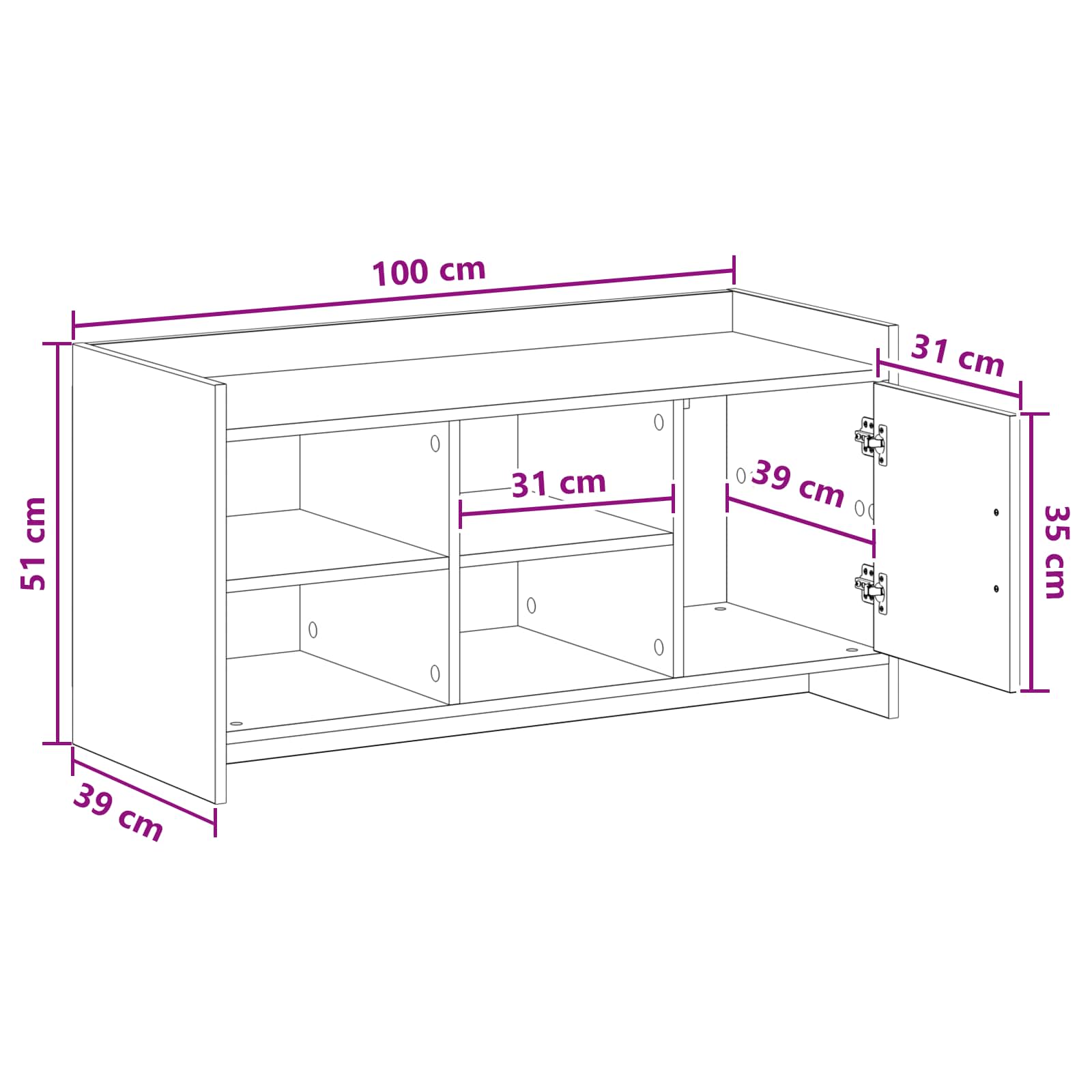 Schuhschrank Geräucherte Eiche 100 x 39,5 x 51 cm Holzwerkstoff