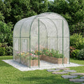 Gewächshaus mit Rahmen 160 x 200 x 192,5 cm PVC Transparent