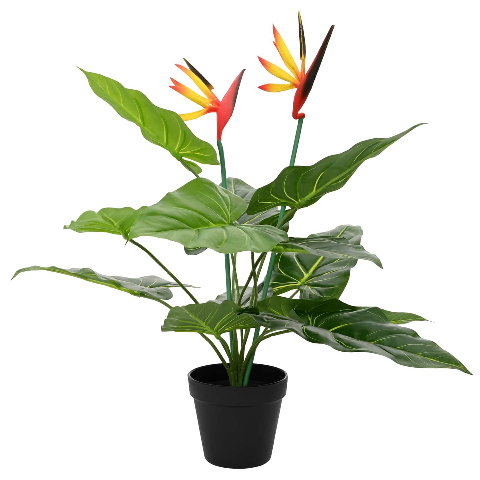 Künstliche Strelitzia-Pflanze Grün 65 x 13 x 55 cm