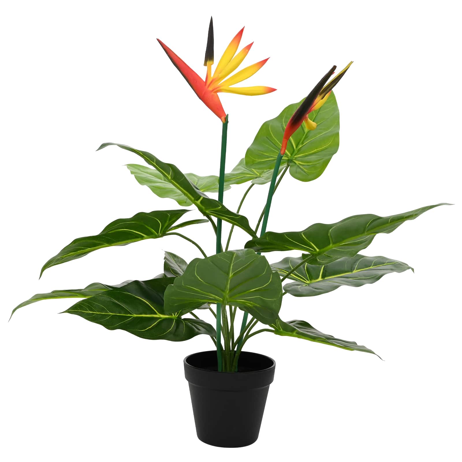 Künstliche Strelitzia-Pflanze Grün 65 x 13 x 55 cm