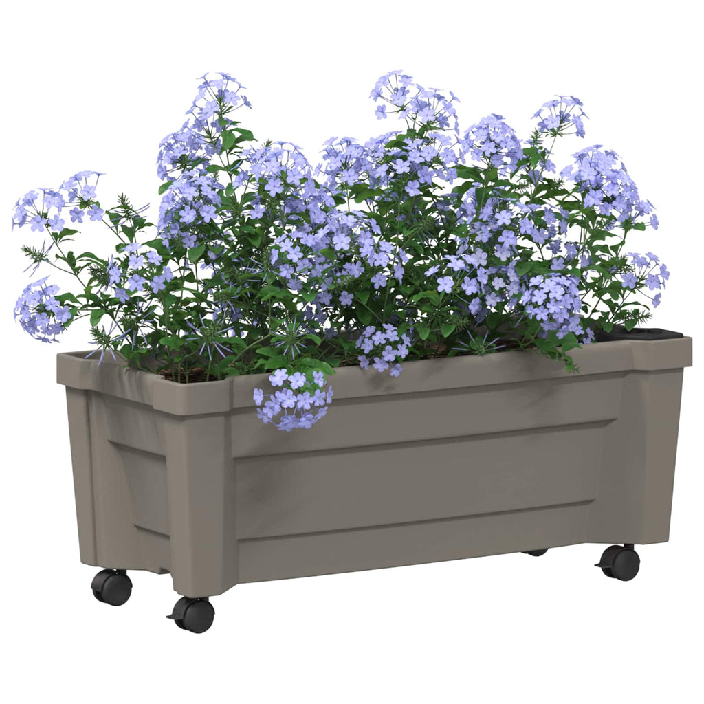 Calypso Blumentopf mit Rädern Grau 79 x 35 x 33 cm PP