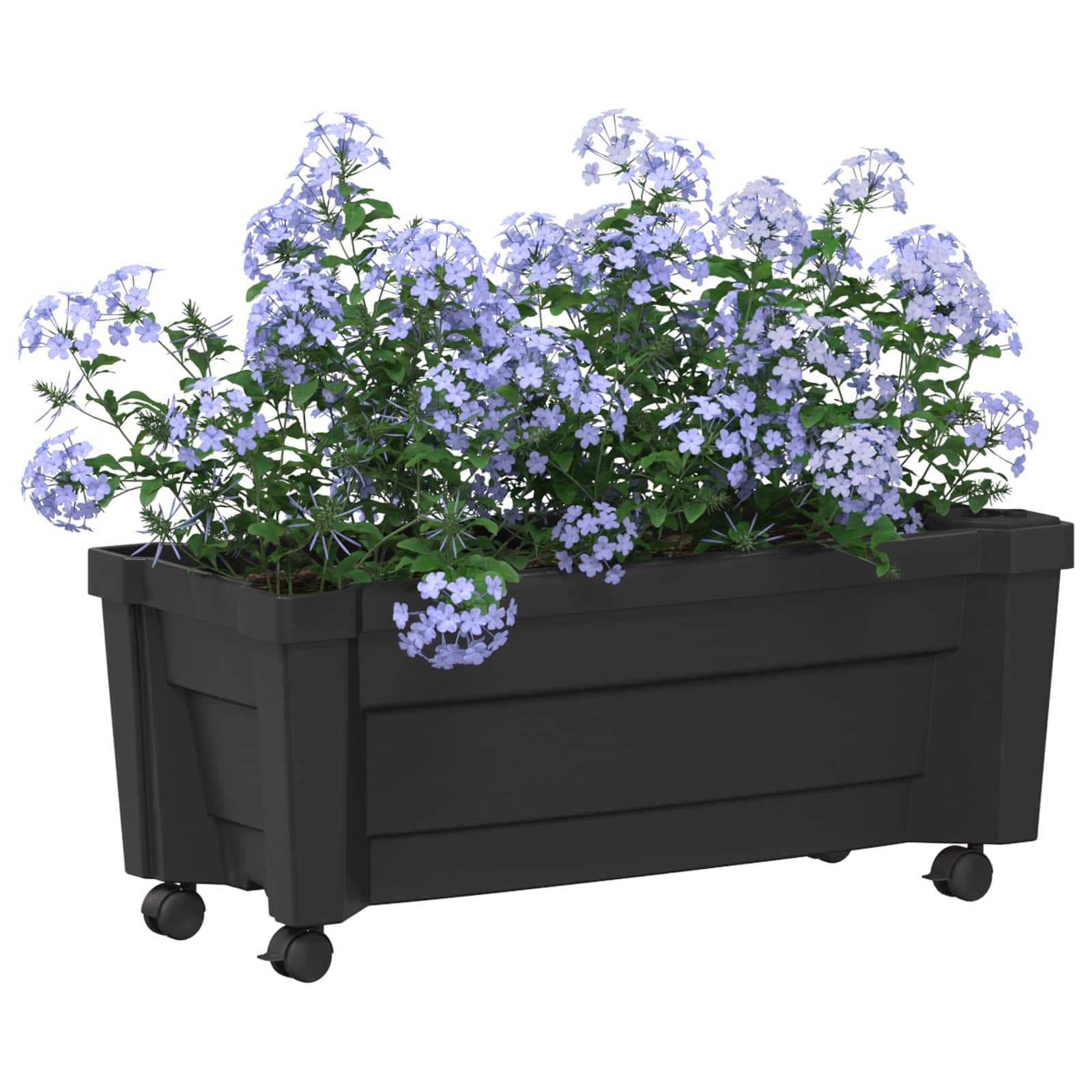 Calypso Blumentopf mit Rädern Anthrazit 79 x 35 x 33 cm PP