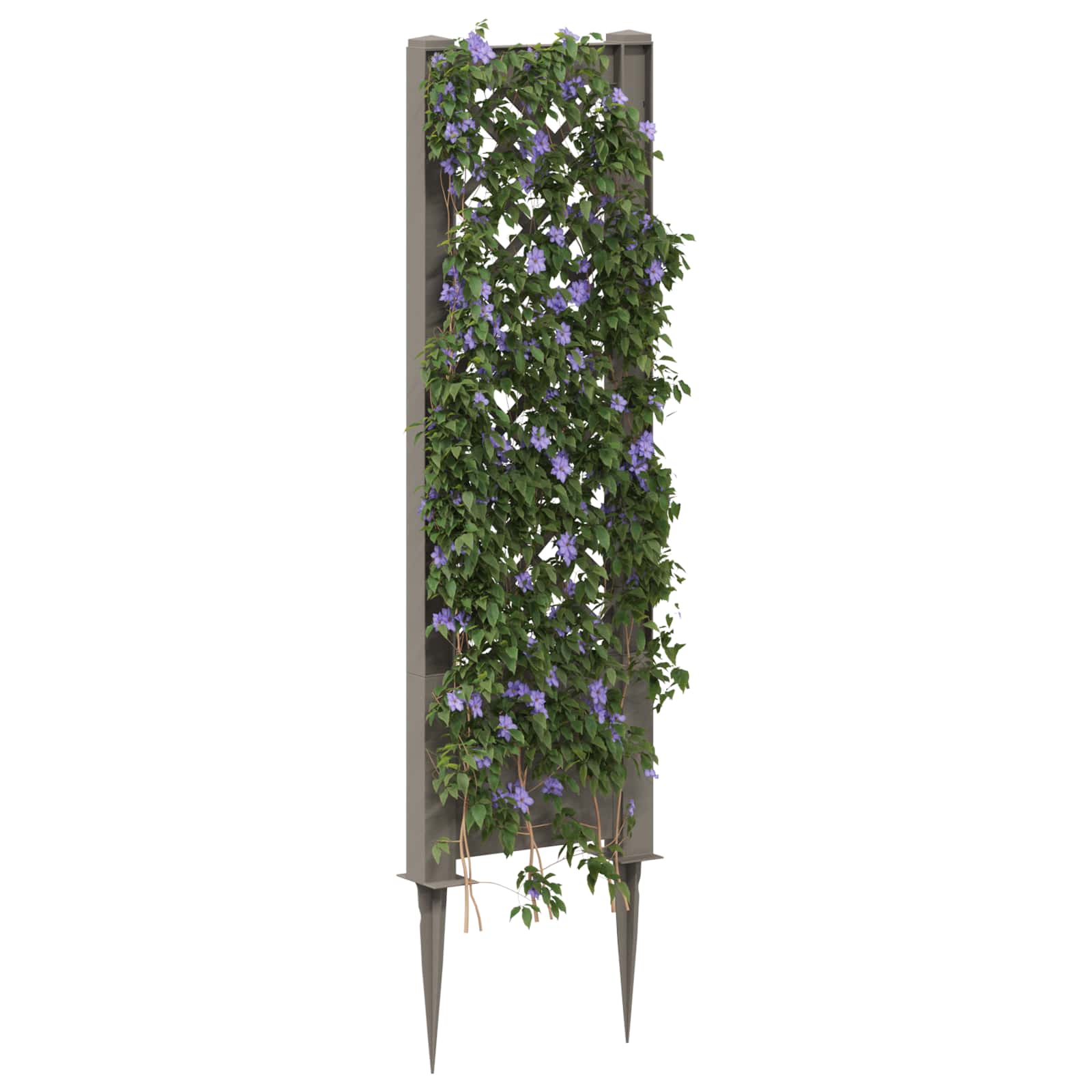 Trellis mit Spike Grau 43 x 6 x 165 cm PP