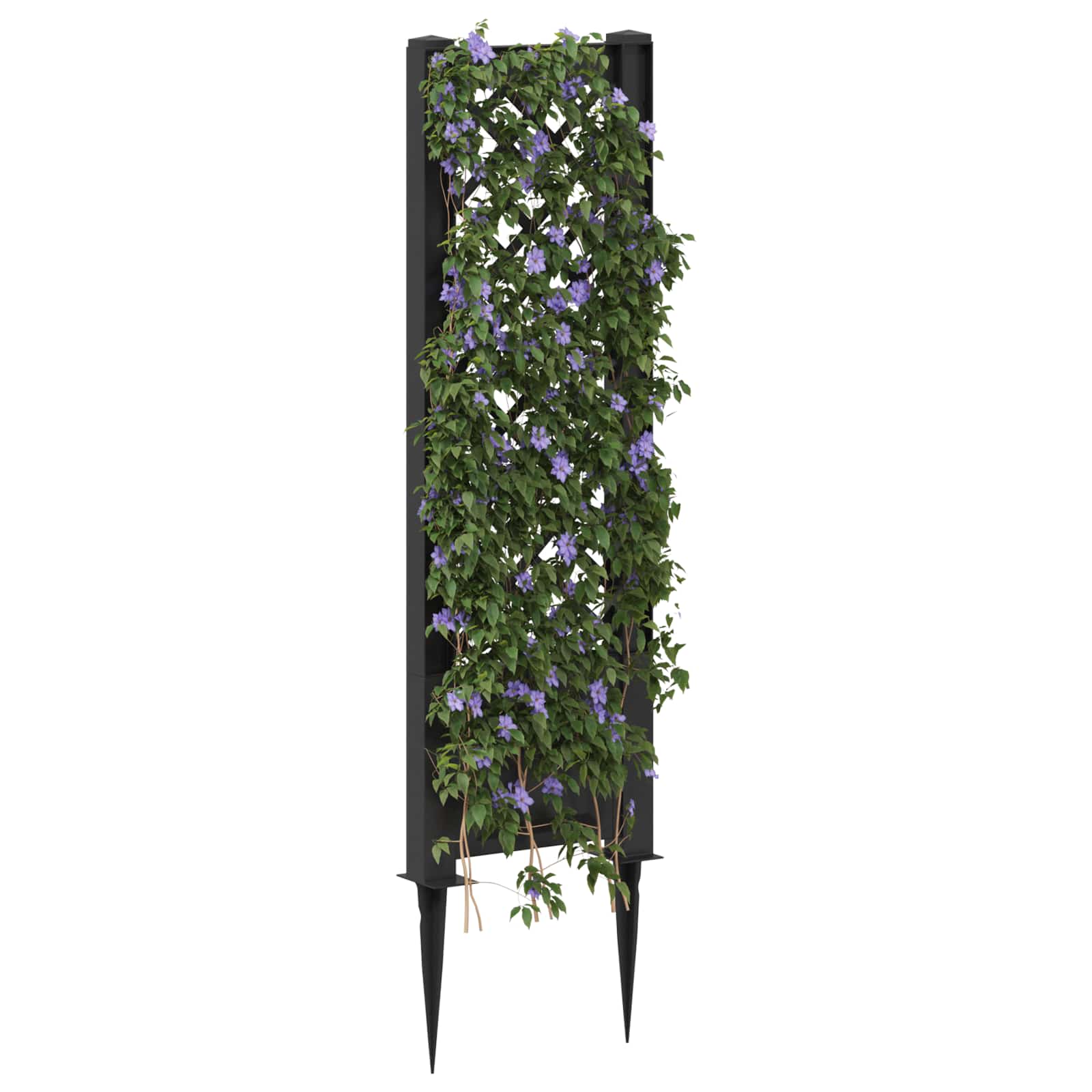 Trellis mit Spike Anthrazit 43 x 6 x 165 cm PP