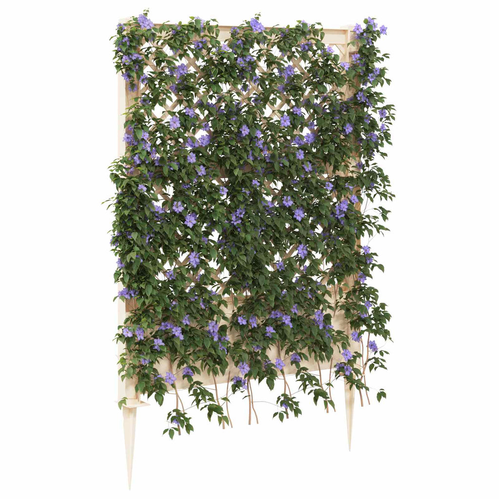 Trellis mit Spike Weiß 99 x 6 x 165 cm PP