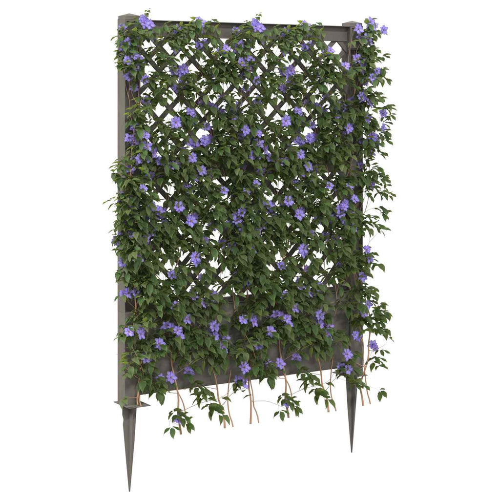 Trellis mit Spike Grau 99 x 6 x 165 cm PP