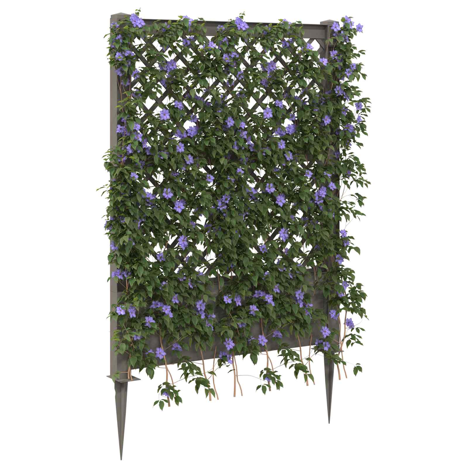 Trellis mit Spike Grau 99 x 6 x 165 cm PP