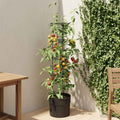Tomatenaufzucht Schwarz Ø 32 x 127 cm PP