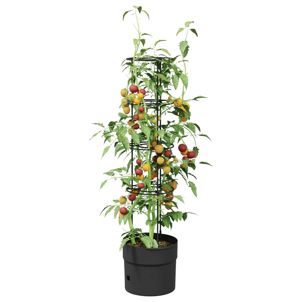 Tomatenaufzucht Schwarz Ø 32 x 127 cm PP