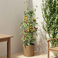 Tomatenaufzucht Naturo ECO Ø 29 x 106 cm WPC