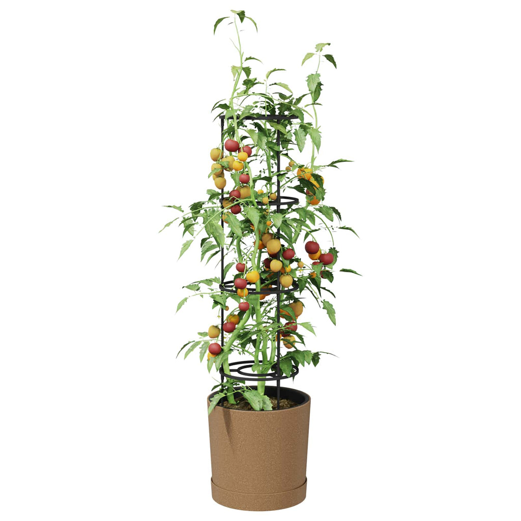 Tomatenanbauer Naturo ECO Ø 39 x 139 cm WPC